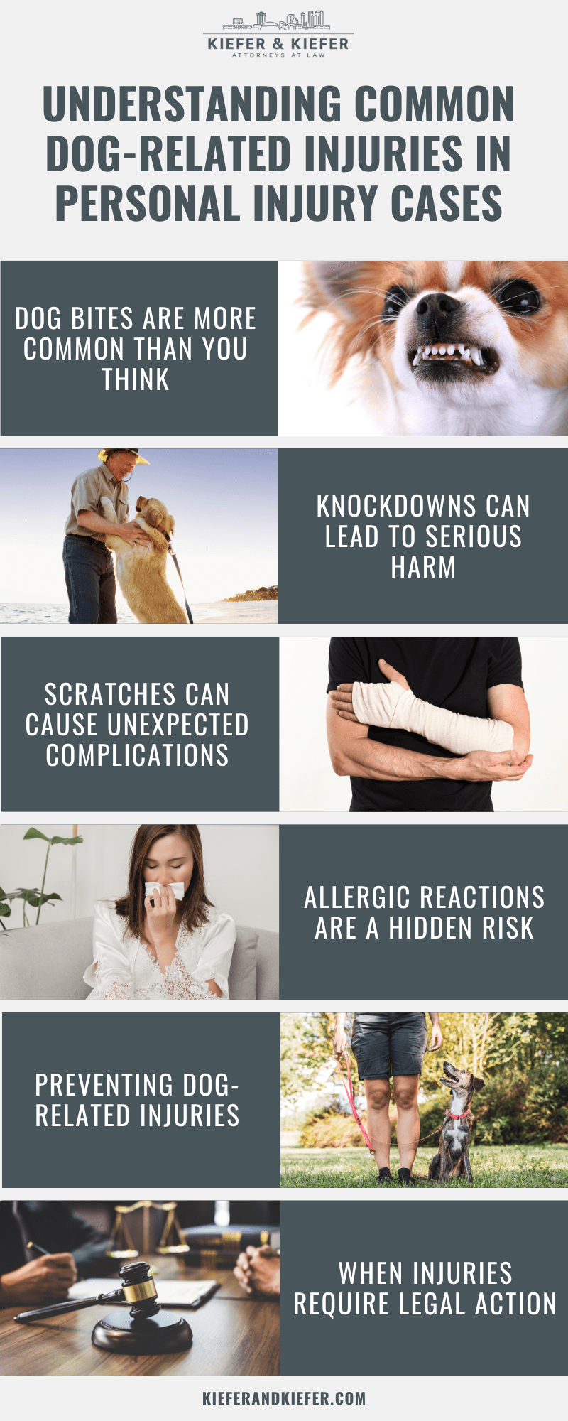 Understanding Common Dog-related Injuries In Personal Injury Cases Infographic