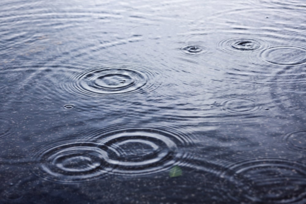 Flood Damage Lawyer New Orleans, LA